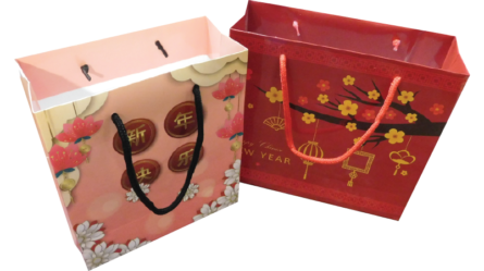 Art Paper / Art Card Bags