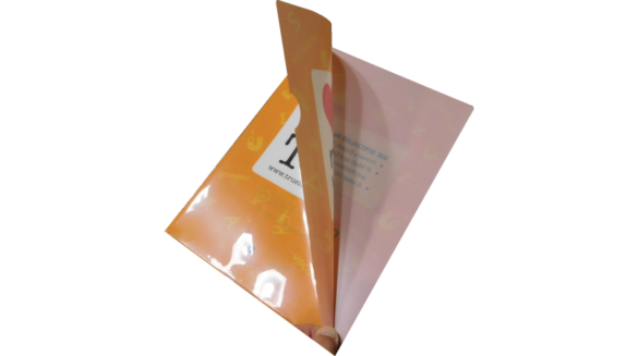 Plastic L-Shape Folders 2